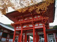 近江神宮の写真・動画_image_445989