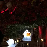 エバーランド/에버랜드の写真・動画_image_448157