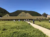 ラコリーナ近江八幡の写真・動画_image_448273