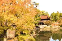 永保寺庭園の写真・動画_image_448634