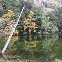 上高地の写真・動画_image_450874