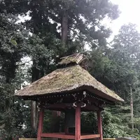 塩船観音寺の写真・動画_image_451728