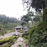 塩船観音寺の写真・動画_image_451729
