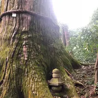 塩船観音寺の写真・動画_image_451732
