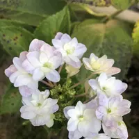 多聞天院の写真・動画_image_451734