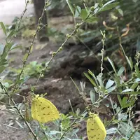 多聞天院の写真・動画_image_451736