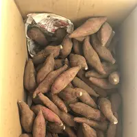 多聞天院の写真・動画_image_451741