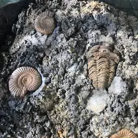 多聞天院の写真・動画_image_451753