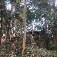 堀兼神社の写真・動画_image_451767
