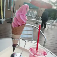 京成バラ園の写真・動画_image_451790