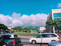 ホノルルの写真・動画_image_451886