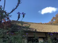 旧島田家住宅の写真・動画_image_452577