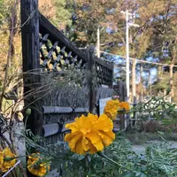 旧島田家住宅の写真・動画_image_452582