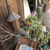 旧島田家住宅の写真・動画_image_452588