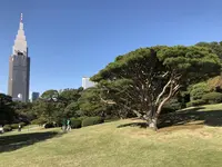 新宿御苑の写真・動画_image_452860