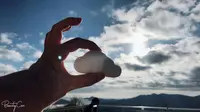 星野リゾートトマム 雲海テラスの写真・動画_image_453343