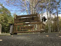 富良野チーズ工房の写真・動画_image_453351