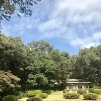 明治神宮の写真・動画_image_453651