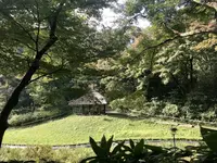 明治神宮の写真・動画_image_453660