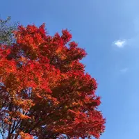 榛名湖の写真・動画_image_454173