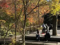 ハルニレテラスの写真・動画_image_454835
