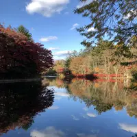 雲場池の写真・動画_image_454972