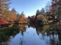 雲場池の写真・動画_image_454974