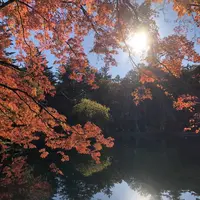 雲場池の写真・動画_image_454975