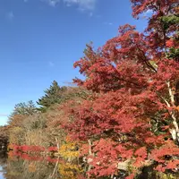 雲場池の写真・動画_image_454976