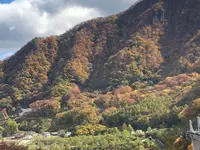 道の駅 八ッ場ふるさと館の写真・動画_image_455030