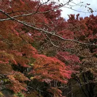 榛名湖の写真・動画_image_455036