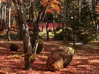 軽井沢高原教会の写真・動画_image_455042