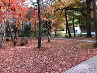 軽井沢高原教会の写真・動画_image_455045