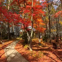 軽井沢高原教会の写真・動画_image_455049
