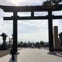 出雲大社の写真・動画_image_455316