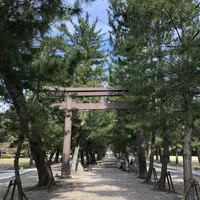 出雲大社の写真・動画_image_455320