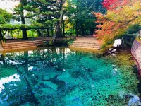 別府弁天池の写真・動画_image_455499