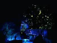 秋芳洞の写真・動画_image_455506