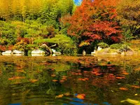 三景園の写真・動画_image_455514