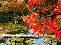 由志園の写真・動画_image_455523