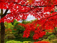 由志園の写真・動画_image_455528