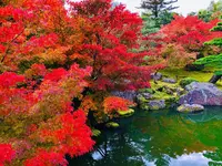 由志園の写真・動画_image_455529