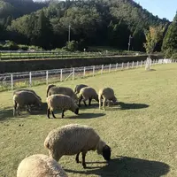 ローザンベリー多和田の写真・動画_image_455549