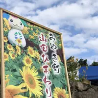 山田ひまわり園の写真・動画_image_456059