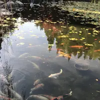 三景園の写真・動画_image_456389