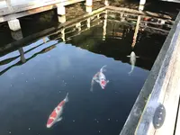 三景園の写真・動画_image_456393