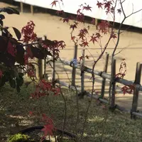 三景園の写真・動画_image_456394