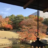 三景園の写真・動画_image_456397