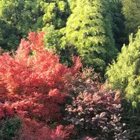 三景園の写真・動画_image_456400