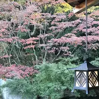 三景園の写真・動画_image_456401